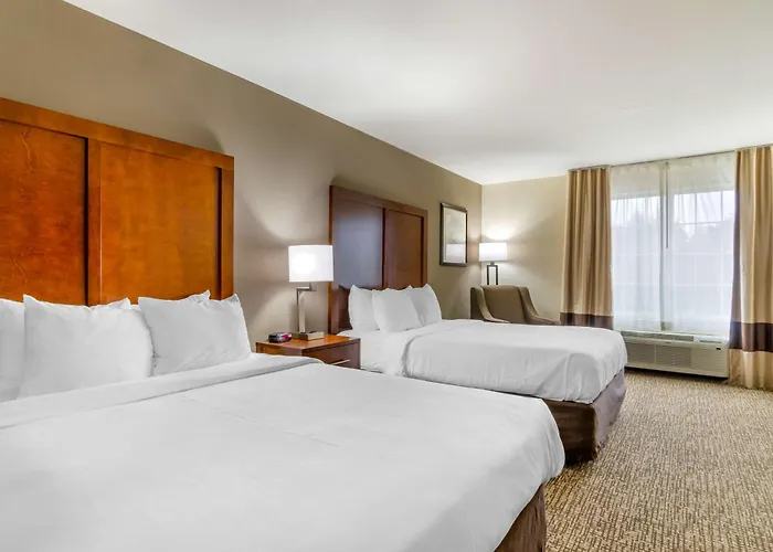 Comfort Inn & Suites Near Bethel College